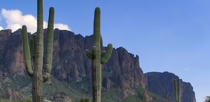 Couple shopping for Apache Junction insurance